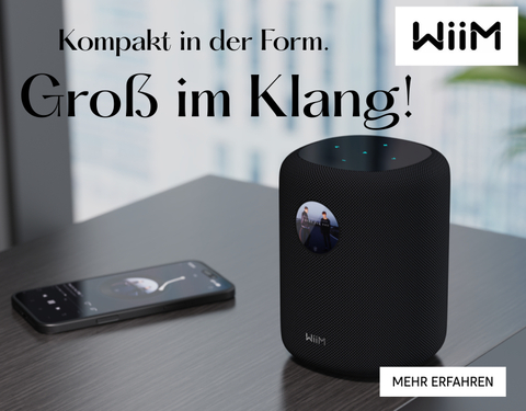 WiiM WiiM