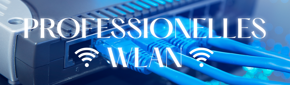Professionelles_Wlan_banner.png