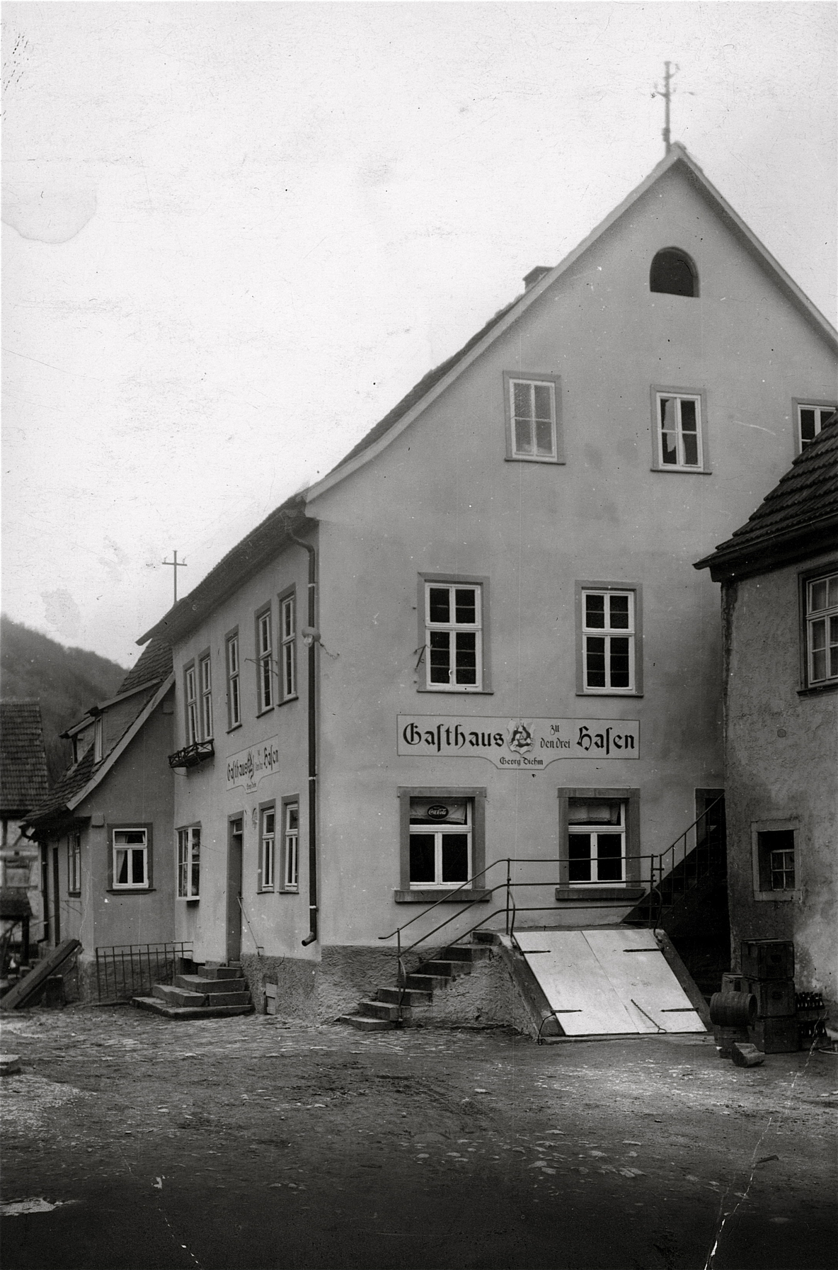 3_Hasen.jpg