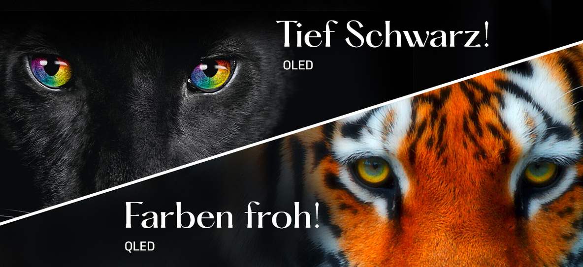 2023-01-Berater-TV-Generationen-oled-qled.jpg