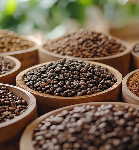 kaffeesorten-bild.jpg