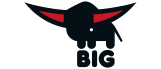 BIG BIG