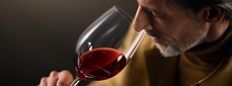 euronics-mw-liebherr-wein-technologien-header-banner.jpg