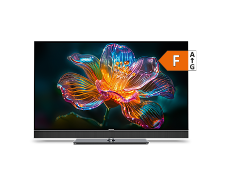 TechniSat_55Zoll.png