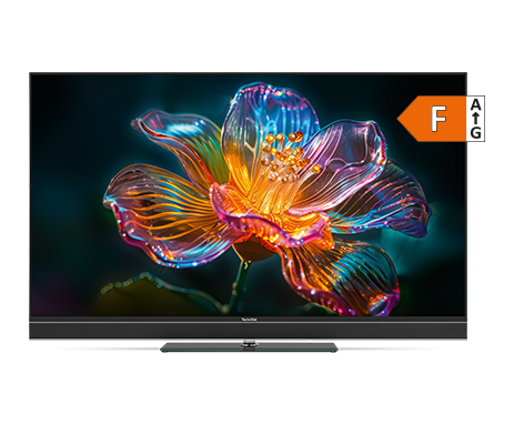 TechniSat_65Zoll.png