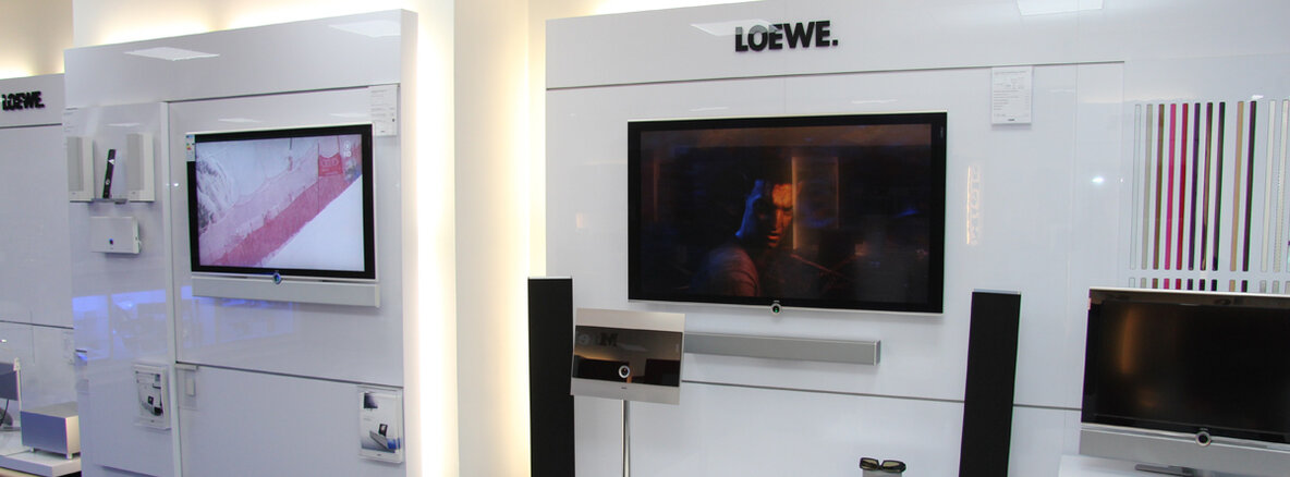 Hartwig_Meerbusch_loewe.jpg