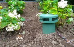 Installation von Bose Gartenlautsprecher