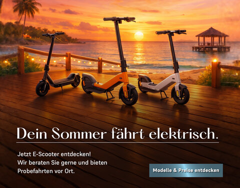 E-Scooter