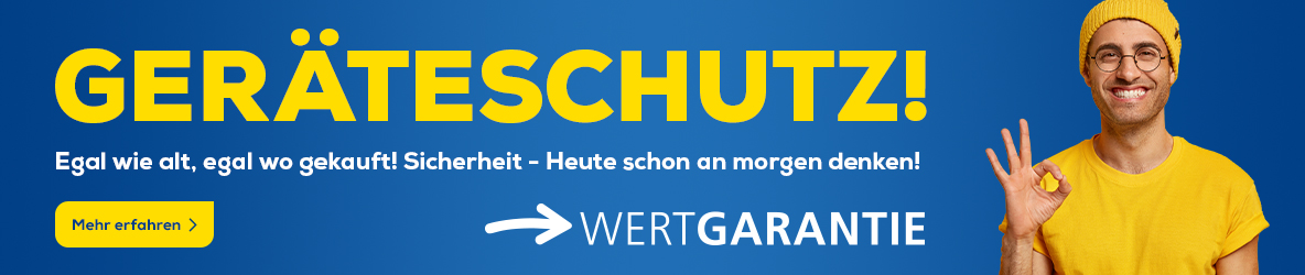 Sinn_HP-Banner_KW21_Wertgarantie.jpg