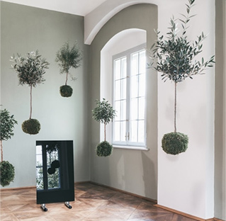 2019-07-05_Blang_Rewdwell_05.jpg