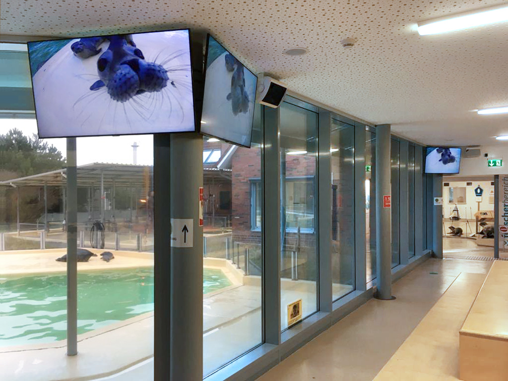 2021-05-mah-Stadtlander-Projekt-Seehundstation.jpg