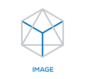 IMAX-Enhanced-Icon-Individual-Image.jpg