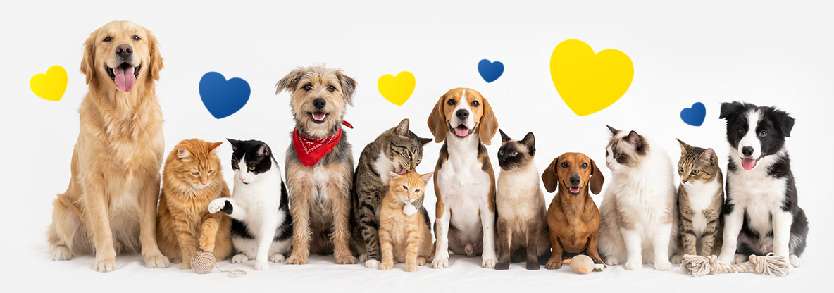 OMC-37602_petkit-head-banner-tiere_d.jpg