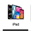 Zu den Apple iPads