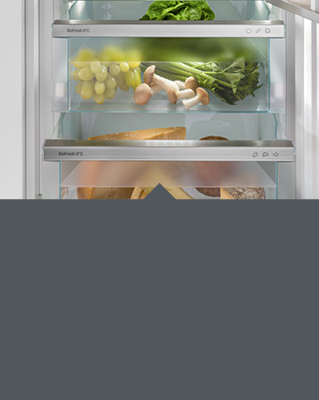 //image.euronics.de/fileadmin/medien/ZENTRALE/Markenwelt/Liebherr/Update_07-2024/Serien/euronics-mw-liebherr-serien-plus-biofresh.jpg