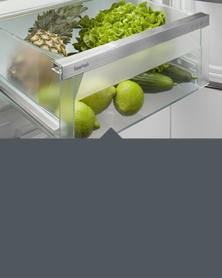 //image.euronics.de/fileadmin/medien/ZENTRALE/Markenwelt/Liebherr/Update_07-2024/Serien/euronics-mw-liebherr-serien-pure-easyfresh.jpg
