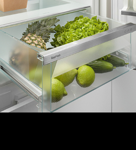 //image.euronics.de/fileadmin/medien/ZENTRALE/Markenwelt/Liebherr/Update_07-2024/Startseite/euronics-mw-liebherr-startseite-kacheln_frischetechnologie-easyfresh.jpg