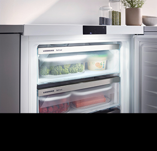 //image.euronics.de/fileadmin/medien/ZENTRALE/Markenwelt/Liebherr/Update_07-2024/Startseite/euronics-mw-liebherr-startseite-kacheln_frischetechnologie-nofrost.jpg