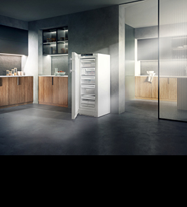 //image.euronics.de/fileadmin/medien/ZENTRALE/Markenwelt/Liebherr/Update_07-2024/Startseite/euronics-mw-liebherr-startseite-kacheln_standgeraete_gefrierschrank.jpg