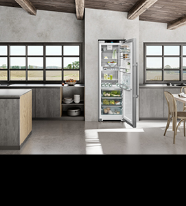 //image.euronics.de/fileadmin/medien/ZENTRALE/Markenwelt/Liebherr/Update_07-2024/Startseite/euronics-mw-liebherr-startseite-kacheln_standgeraete_kuehlschrank.jpg
