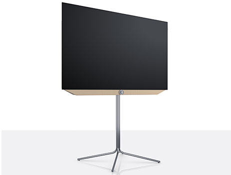 euronics-mw-loewe-2sp-bild-v_rechts.jpg