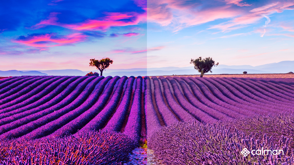 Color_Split3.jpg