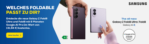  Samsung Galaxy Fold/Flip 