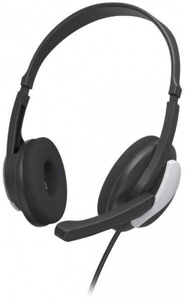 HS-P100 V2 PC-Headset schwarz/silber