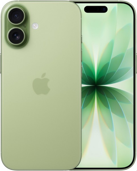 iPhone 17 (256GB) salbei, 48 MP Kamera, 6,3 Zoll Display, 41 Std. Akku, 5G, iOS