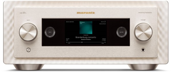LINK 10n Netzwerkspieler champagner