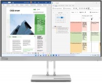 L25e-40 62 cm (25") TFT-Monitor mit LED-Technik cloud grey, Widescreen Full HD (1920x1080), 4 ms Reaktionszeit