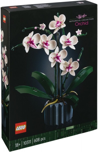 Icons Orchidee