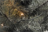 Micro LED-Lichterkette (200 tlg.)