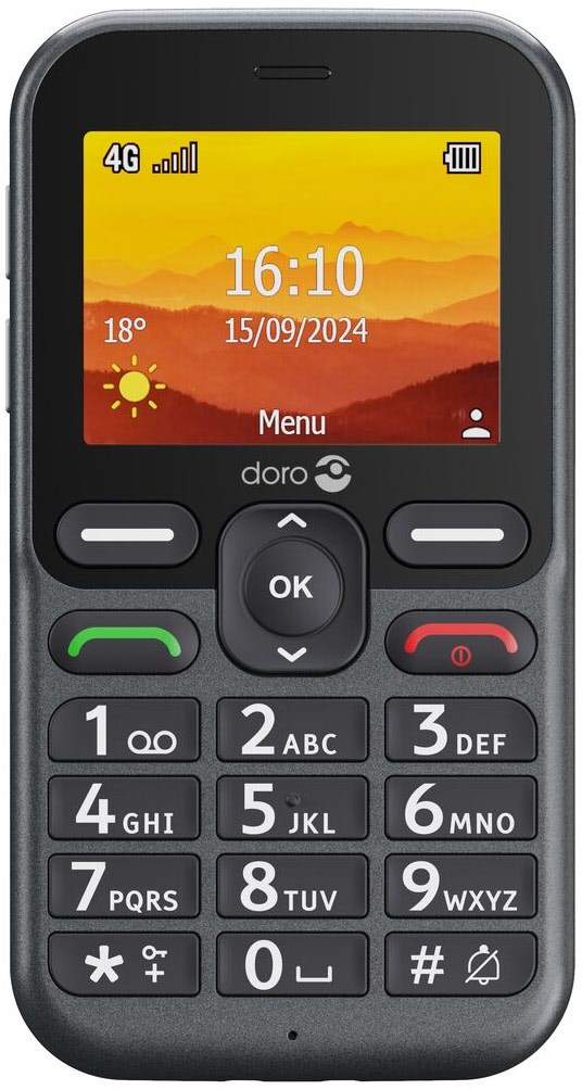 Image of Leva L10 Seniorenhandy graphit