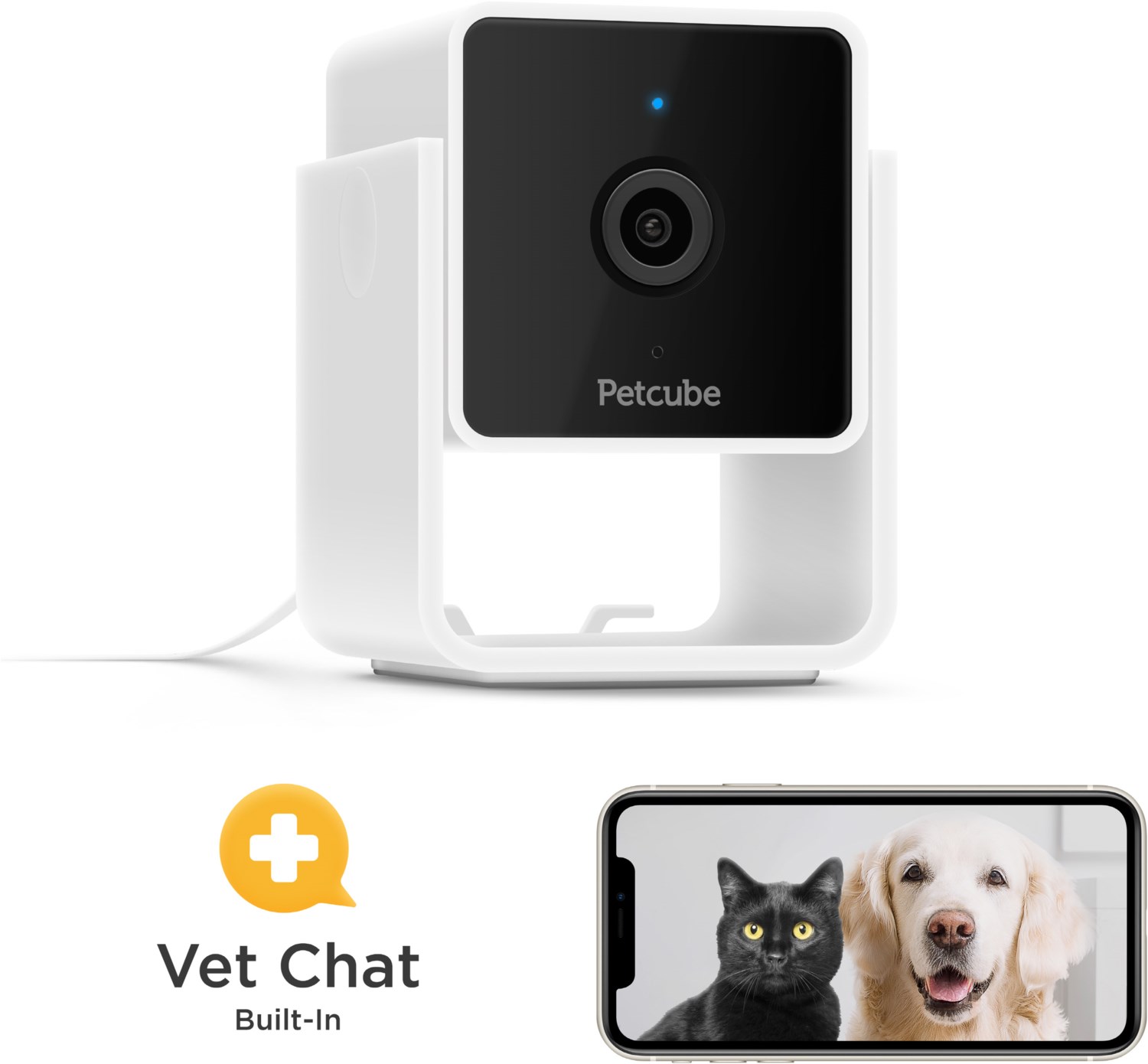 Pet Cam