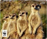 TERRA WWF Erdmännchen Mauspad