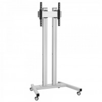 TD1864 Displaywagen silber