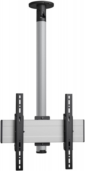 CT 242244 Einzelprofil (220cm) VESA 400x400 silber