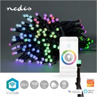 WIFILX01C168 SmartLife Deko-LED Lichterkette