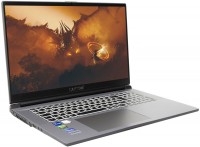 Advanced Gaming I68-188 43,94 cm (17,3"), 16 GB RAM, 500 GB SSD, Intel Core i5, Windows 11, Full HD (1920x1080), nVidia GeForce RTX 3050