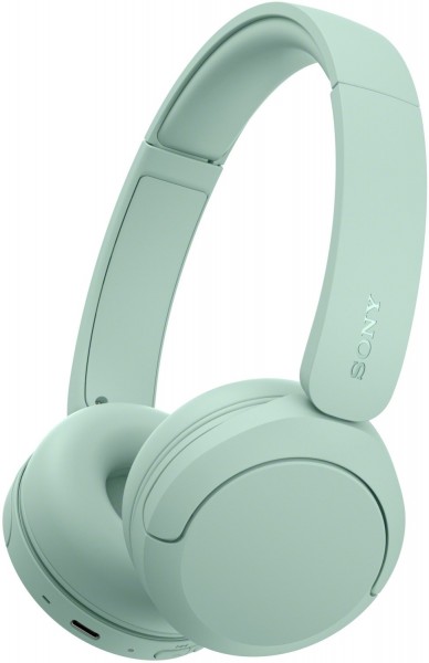 WH-CH530G Bluetooth-Kopfhörer grün