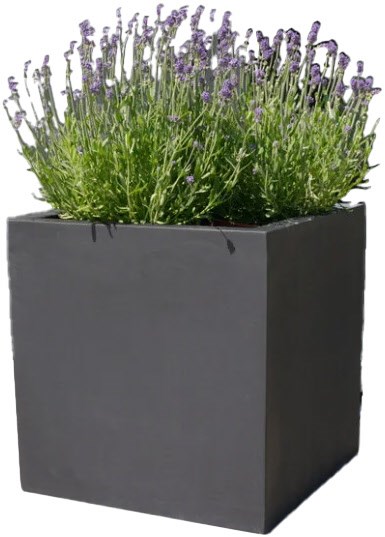 Image of Botanic 50-2c /Stück Lautsprecher anthrazit