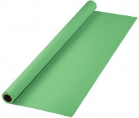 Hintergrundkarton (2,75x11m) grün