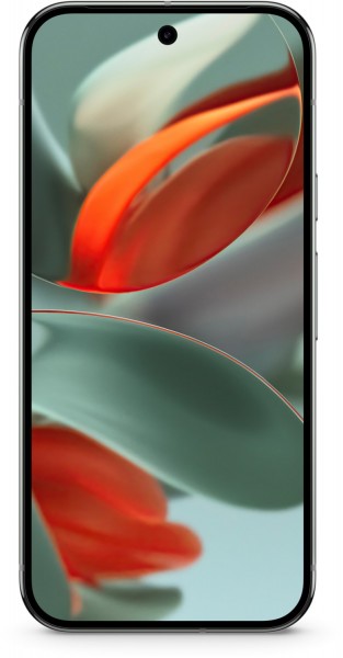 Google Pixel 9 Pro (256GB) Smartphone hazel | EURONICS