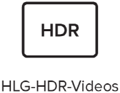 b20eeae8-7e97-4687-aade-ea867334b910.png