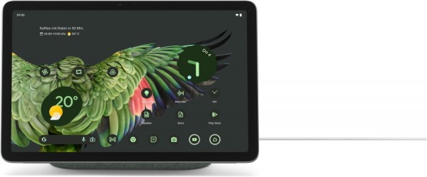 Google Pixel (GA04754-EU) Tablet hazel | EURONICS