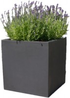 Botanic 70-2c /Stück Lautsprecher anthrazit