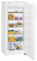 GNP 2343-eu Gefrierschrank weiß
