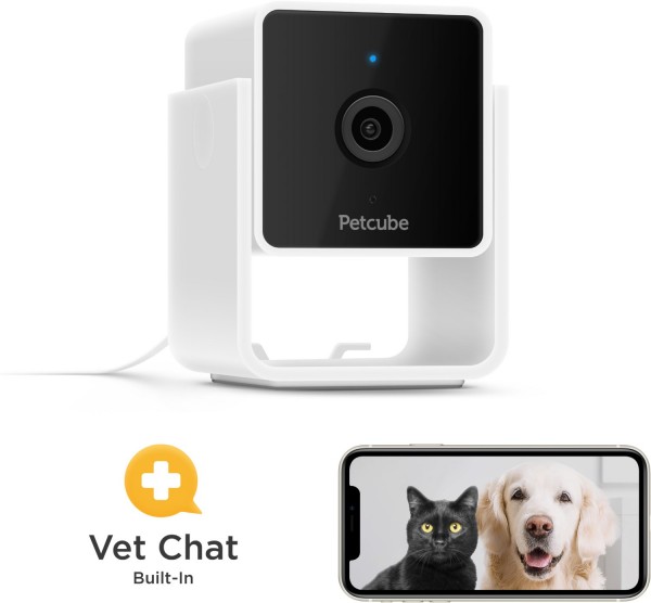 Pet Cam
