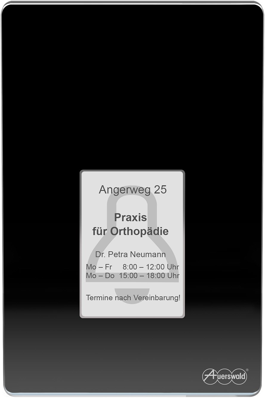 TFS-Dialog 400 Türsprecheinrichtung schwarz